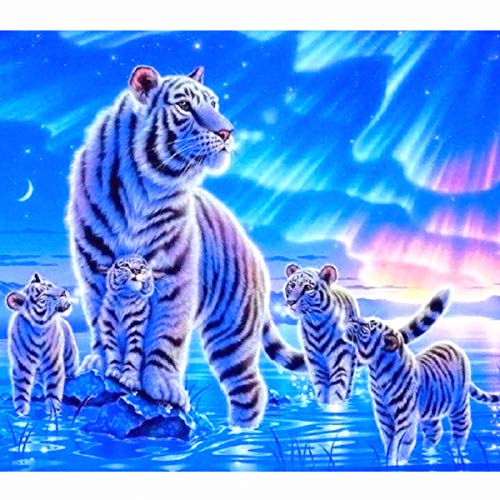 O&BTRC01 Diamond Painting Tiger, Tiere Diamond Painting Erwachsene 5D Diamant Painting Bilder Kinder von O&BTRC01