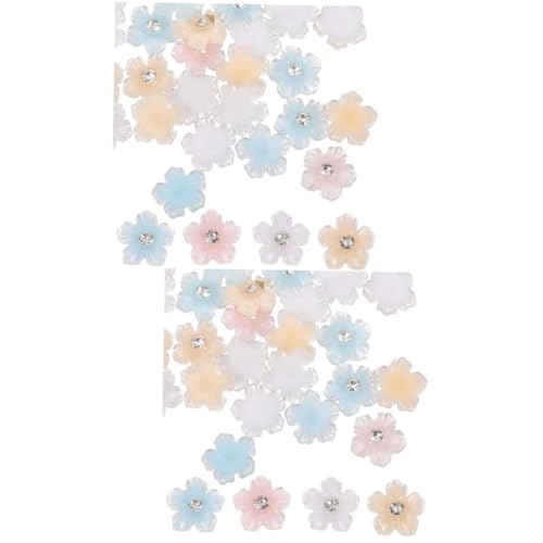 OATIPHO 2 Stück 2 Eistransparent-Harzpunktbohrer Nagel Dekoration Maniküre Reiz bunt Blumenform -Strasssteine Blumenstrassnägel Maniküre DIY Charms Maniküre DIY Nail Strass-Kit von OATIPHO
