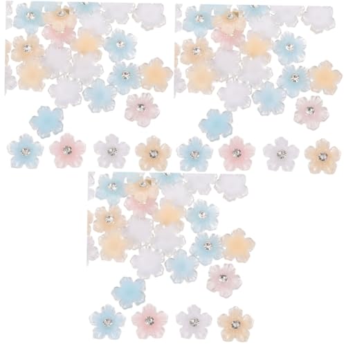 OATIPHO 3 Stück 2 Eistransparent-Harzpunktbohrer Dekoration Charme schmücken Maniküre Nagel Charms Nagelschmuck selber machen bunte Nagel-Strasssteine nagel DIY Blumen Nagel Strass von OATIPHO