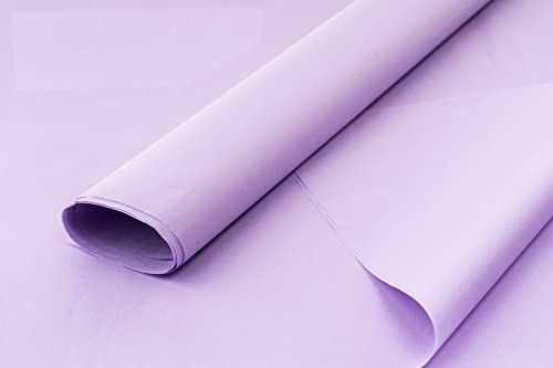 Farbiges Seidenpapier/Geschenkpapier/Geschenkpapier, 50,8 x 76,2 cm, erhältlich in den 10er/25er und 50er Jahren (lila, 50 Stück) von ODL Packaging