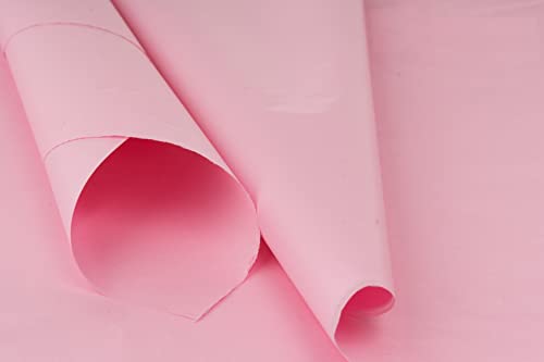 Farbiges Seidenpapier/Geschenkpapier/Geschenkpapierbögen (50,8 x 76,2 cm), erhältlich in 10er/25er/50er-Jahren, Hellrosa, 25 Stück von ODL Packaging