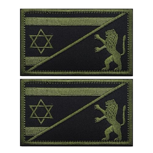 Bestickter Aufnäher mit Motiv Israelischer Davidstern, Löwe, taktisches Kampfarmband, Abzeichen mit Klettverschluss, 8,9 x 5,9 cm, 2 Stück von ODSP