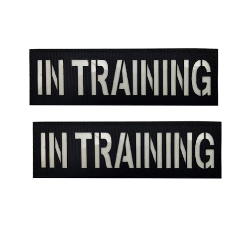 ODSS in Training Flicken, leuchtet im Dunkeln, 12 x 3,8 cm, taktische Militär-Such- und Rettungsabzeichen, Hakenverschluss mit Schlaufe, 2 Stück von ODSS