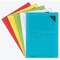 100 ÖKI Sichthüllen Ordo DIN A4 farbsortiert glatt 120 g/qm 100 ÖKI Sichthüllen Ordo DIN A4 farbsortiert glatt 120 g/qm von ÖKI