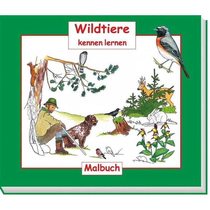 Wildtiere Kennen Lernen, Malbuch - Hubert Zeiler, Geheftet von Österreichischer Jagd- und Fischerei-Verlag