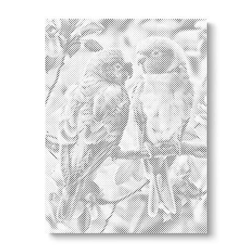 Parrots in Love | Dot Painting | 80x100cm | Canvas only | One color dots | Komplettset | Diamond Painting & Painting by Number alternative | Geschenk | Dotting Parrots in Love | Dot Painting | 80x100cm | Canvas only | One color dots | Komplettset | Diamond Painting & Painting by Number alternative | Geschenk | Dotting von OH MY DOTZ