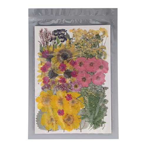 100 Stcs getrocknetes Blütenset Trockenblüten mit 2 Aufklebern Scrapbooking Kerzenschmuck machen von OKOVO