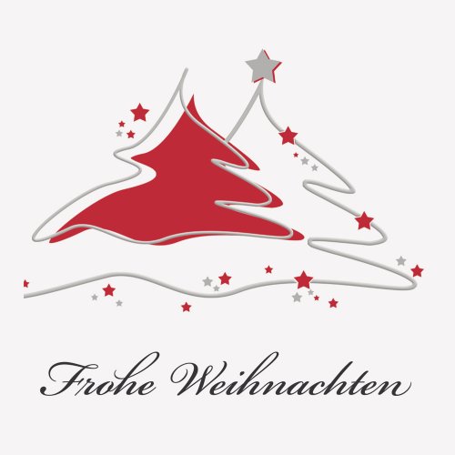 10er Pack Geschenkkarten Frohe Weihnachten Tannenbaum Weihnachtskarten ohne Umschläge Geschenkanhänger Anhänger Anhängerkarte Klappkarte von OLShop AG