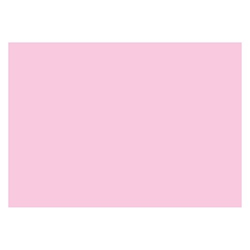 2er Pack Karteikarten DIN A6 (148x105mm) quer blanko 2 x 100 Stück rosa, Lernkarte, Mehrzweckkarte, Notizkarte von OLShop AG