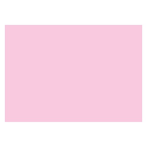 2er Pack Karteikarten DIN A6 (148x105mm) quer blanko 2 x 100 Stück rosa, Lernkarte, Mehrzweckkarte, Notizkarte von OLShop AG