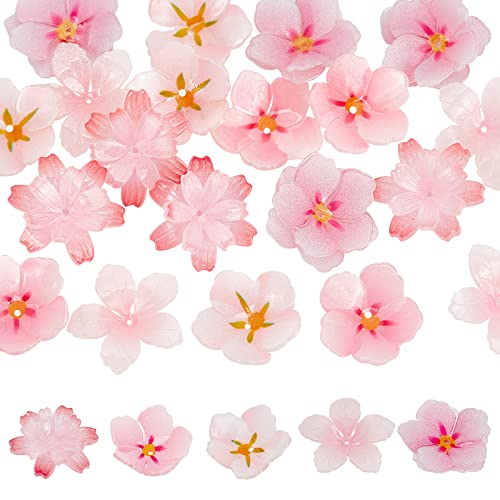 OLYCRAFT 20pcs 5 Größen Pfirsich Blumenperlen Caps Floral Spacer Perlen Pfirsich Blütenperlen Kunststoffperle für DIY Schmuck Halskette Armband Ohrringe Handwerk Making 20~23.5mm OLYCRAFT 20pcs 5 Größen Pfirsich Blumenperlen Caps Floral Spacer Perlen Pfirsich Blütenperlen Kunststoffperle für DIY Schmuck Halskette Armband Ohrringe Handwerk Making 20~23.5mm von OLYCRAFT