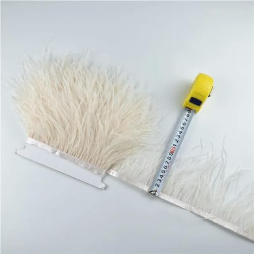 OPica 1 Meter Straußenfedern auf Band, Fransenbesatzband, 10–15 cm, 10,2–15,2 cm lang, weiße Federbesätze, Dekor für Kleidung, Flecos-Dekoration OPica 1 Meter Straußenfedern auf Band, Fransenbesatzband, 10–15 cm, 10,2–15,2 cm lang, weiße Federbesätze, Dekor für Kleidung, Flecos-Dekoration von OPica