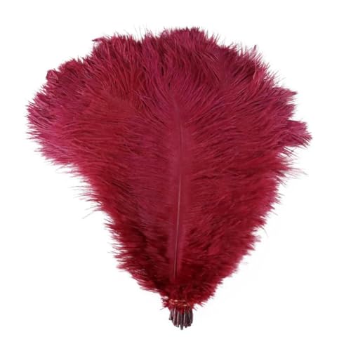 OPica 10 Stück Federn Straußenfedern Hochzeit Heimdekoration 15–20 cm/25–30 cm/30–35 cm für Party Straußenfedern Herzstück DIY Handwerk von OPica