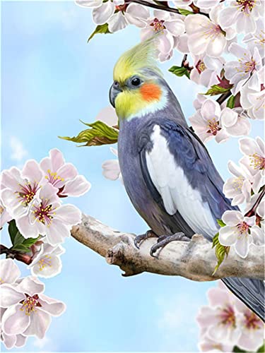 DIY Diamond Painting Kits for Adults Kids Square Drill Bird Parrot 30x45cm Full Drill Diamond Art Kits Crystal Rhinestone Embroidery Cross Stitch Pictures Canvas Arts Craft for Home Wall Decor 12x18in DIY Diamond Painting Kits for Adults Kids Square Drill Bird Parrot 30x45cm Full Drill Diamond Art Kits Crystal Rhinestone Embroidery Cross Stitch Pictures Canvas Arts Craft for Home Wall Decor 12x18in von ORBANA