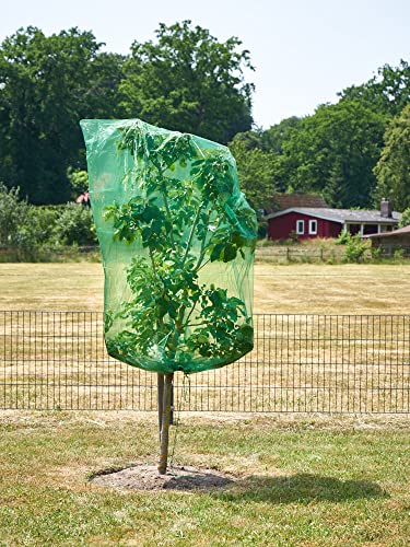 1 Frucht-Schutzbeutel mit Zugband, Zum Schutz vor Wespenfrass, Vögel, Schnecken, Kirschessigfliege und Anderen Insekten. Traubenschutz, Organzabeutel (dunkelgrün, 200x150 cm, Durchmesser 92 cm) von ORGANZABEUTEL24
