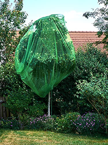 1 Frucht-Schutzbeutel mit Zugband, Zum Schutz vor Wespenfrass, Vögel, Schnecken, Kirschessigfliege und Anderen Insekten. Traubenschutz, Organzabeutel (dunkelgrün, 300x300 cm, Durchmesser 175 cm) von ORGANZABEUTEL24