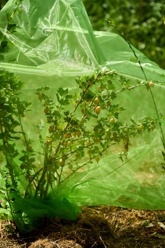 1 Frucht-Schutzbeutel mit Zugband, Zum Schutz vor Wespenfrass, Vögel, Schnecken, Kirschessigfliege und Anderen Insekten. Traubenschutz, Organzabeutel (moosgrün, 100x100 cm, Durchmesser 58cm) von ORGANZABEUTEL24