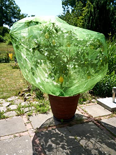 1 Frucht-Schutzbeutel mit Zugband, Zum Schutz vor Wespenfrass, Vögel, Schnecken, Kirschessigfliege und Anderen Insekten. Traubenschutz, Organzabeutel (moosgrün, 200x150 cm, Durchmesser 92 cm) von ORGANZABEUTEL24