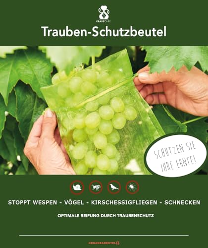 | 30 Trauben-Schutzbeutel, 23x15 cm, Farbe: Moosgrün, mit Zugband, Zum Schutz vor Wespenfrass, Vögeln, Schnecken, Kirschessigfliegen und anderen Insekten, Organzabeutel gegen Wespenfraß, Traubenschutz | 30 Trauben-Schutzbeutel, 23x15 cm, Farbe: Moosgrün, mit Zugband, Zum Schutz vor Wespenfrass, Vögeln, Schnecken, Kirschessigfliegen und anderen Insekten, Organzabeutel gegen Wespenfraß, Traubenschutz von ORGANZABEUTEL24