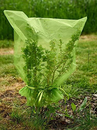 5 Frucht-Schutzbeutel mit Zugband. Zum Schutz vor Wespenfrass, Vögeln, Kirschessigfliege, Anderen Insekten und Schnecken. Traubenschutz, Organzabeutel (moosgrün, 64x56 cm, Durchmesser 33cm) von ORGANZABEUTEL24