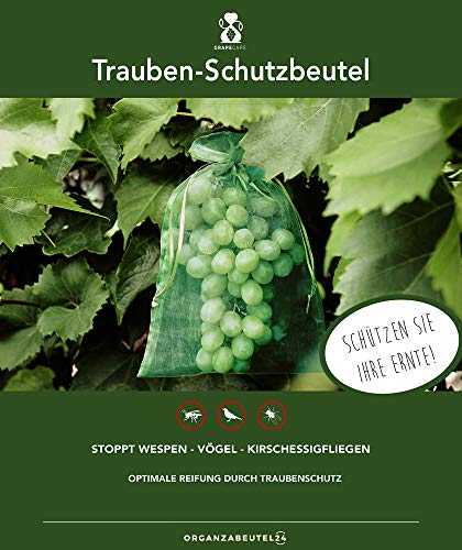 ORGANZABEUTEL24 100 STK. Trauben-Schutzbeutel, Größe: 30x20 cm, mit Zugband, Zum Schutz vor Wespenfrass, Vögel, Kirschessigfliege und Andere Insekten. Organzabeutel Gegen Wespenfraß (Dunkelgrün) von ORGANZABEUTEL24