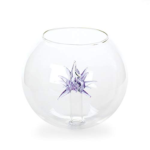ORION LIGHTSTYLE Lampenschirm, Rund, Transparent, Glas, Zeitgenössisch, G4 Steckfassung, 100mm, 10mm Öffnung, klarer Schirm mit Innenelement ORION LIGHTSTYLE Lampenschirm, Rund, Transparent, Glas, Zeitgenössisch, G4 Steckfassung, 100mm, 10mm Öffnung, klarer Schirm mit Innenelement von ORION LIGHTSTYLE