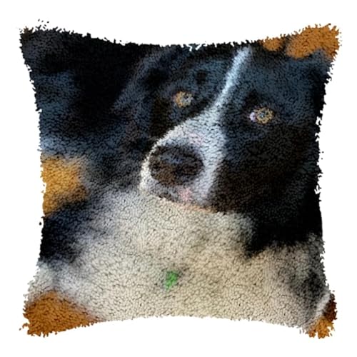 ORLUMY DIY Knüpfstern Set Border Collie Tiere Knüpfhaken-Kits Haustier Hund DIY Knüpfhaken-Kits Knüpfhaken-Kit Zum Aufhängen,Handarbeiten,Kissenbezüge,Knüpfhaken,Teppich-Kit 43x43cm ORLUMY DIY Knüpfstern Set Border Collie Tiere Knüpfhaken-Kits Haustier Hund DIY Knüpfhaken-Kits Knüpfhaken-Kit Zum Aufhängen,Handarbeiten,Kissenbezüge,Knüpfhaken,Teppich-Kit 43x43cm von ORLUMY