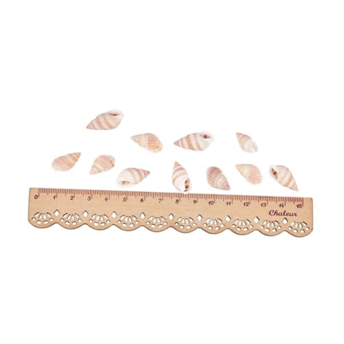 OSALADI 1 Schachtel Natürliche Kleine Deko DIY Bastelset für Strandthemen Hochzeit Kerzen Verzierung Vase Füllung Fischglas Dekoration Meeresthema Party Zubehör OSALADI 1 Schachtel Natürliche Kleine Deko DIY Bastelset für Strandthemen Hochzeit Kerzen Verzierung Vase Füllung Fischglas Dekoration Meeresthema Party Zubehör von OSALADI