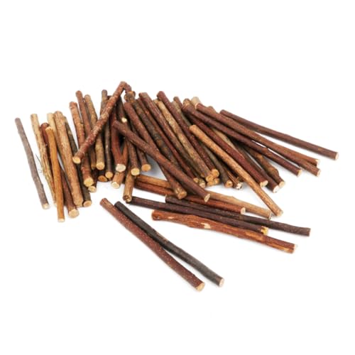 OSALADI 100 Stück Holzstäbe Durchmesser Naturholz für Diy Bastelprojekte Fotodekorationen und Kunsthandwerke für Hochzeiten und Weihnachtsdekorationen OSALADI 100 Stück Holzstäbe Durchmesser Naturholz für Diy Bastelprojekte Fotodekorationen und Kunsthandwerke für Hochzeiten und Weihnachtsdekorationen von OSALADI