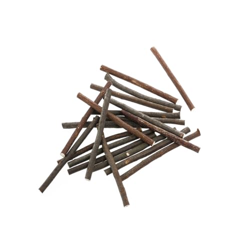 OSALADI 20 Stück Lange Holzstäbe mit Durchmesser für Diy Projekte und Foto Requisiten Naturholzfarbe für Weihnachtsdekorationen OSALADI 20 Stück Lange Holzstäbe mit Durchmesser für Diy Projekte und Foto Requisiten Naturholzfarbe für Weihnachtsdekorationen von OSALADI