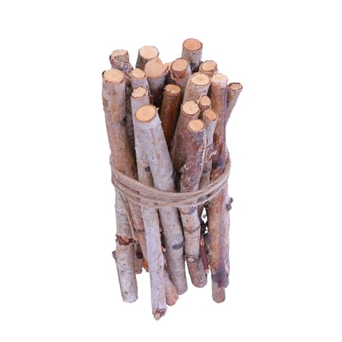 OSALADI 22 Stück Naturholz Zweige Diy Bastelholz Sticks für Dekoration und Fotorequisiten Handgemachte Holzstämme für Bastelbedarf und Kinderprojekte von OSALADI