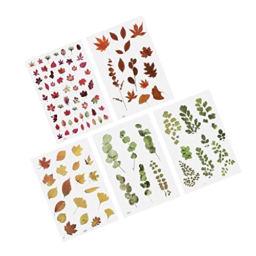 OSALADI 5 Stück Teiliges DIY Blütenaufkleber Farbige Dekorative Sticker für Scrapbooking Epoxidharz Füllmaterial für Kreative Bastelprojekte OSALADI 5 Stück Teiliges DIY Blütenaufkleber Farbige Dekorative Sticker für Scrapbooking Epoxidharz Füllmaterial für Kreative Bastelprojekte von OSALADI