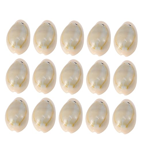 OSALADI 50 Stück Muschelanhänger Kit Zur Herstellung Von Charm-armbändern Muscheln Mit Löchern Herstellung Von Klobigem Kettenschmuck Perlen Für Schmuckhersteller Makramee-schnur Grey OSALADI 50 Stück Muschelanhänger Kit Zur Herstellung Von Charm-armbändern Muscheln Mit Löchern Herstellung Von Klobigem Kettenschmuck Perlen Für Schmuckhersteller Makramee-schnur Grey von OSALADI