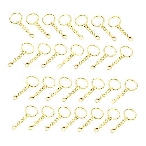 OSALADI 50 Stück Schlüsselringe mit Karabiner Diy Schlüsselanhänger Bastelset Schlüsselhalter Ringe für Kreative Projekte und Schlüsselorganisation von OSALADI