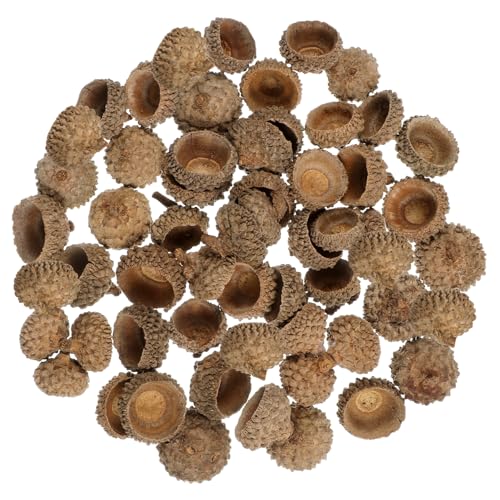 OSALADI 50Stücke Natürliche Eichelhüllen Herbstdeko Weihnachtsbaum Ornament Set für Handwerk Hochzeiten Partys und Tischdekoration Künstliche Eicheln für Bastelprojekte OSALADI 50Stücke Natürliche Eichelhüllen Herbstdeko Weihnachtsbaum Ornament Set für Handwerk Hochzeiten Partys und Tischdekoration Künstliche Eicheln für Bastelprojekte von OSALADI