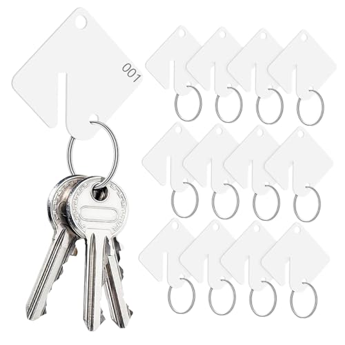 OSALADI 60 Stück Leere Acryl Schlüsselanhänger mit Schlüsselringen Beschriftbare Schlüsselkennzeichnungen für Vermietung Organisation und DIY Schlüsselanhänger Zubehör Leicht und Robust OSALADI 60 Stück Leere Acryl Schlüsselanhänger mit Schlüsselringen Beschriftbare Schlüsselkennzeichnungen für Vermietung Organisation und DIY Schlüsselanhänger Zubehör Leicht und Robust von OSALADI