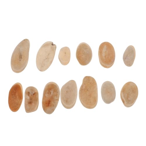 OSOLADY 1 Satz Tischplatte Aus Treibholz Vase Braut- Zweige Hochzeit Party Naturholz Basteln Für Diy Handwerk Aus Natürlichem Holz Diy Treibholz Treibholz-accessoire Hölzern von OSOLADY