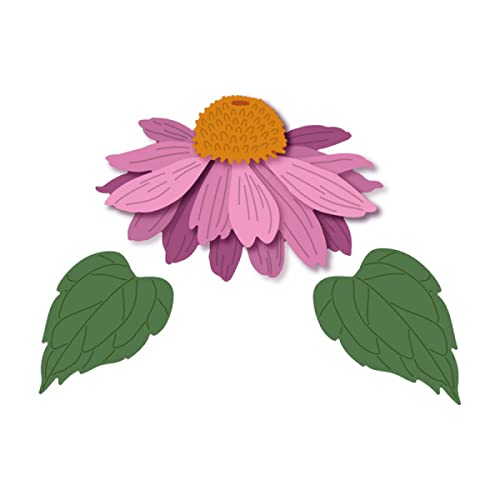 Blumen Blätter Stanzformen für Kartenherstellung Blatt Metall Stanzformen für DIY Scrapbooking Papier Karte Basteln Kunst Handwerk Vorlage Formen Handmade Handwerk Scrapbook Dekor Blumen Blätter Stanzformen für Kartenherstellung Blatt Metall Stanzformen für DIY Scrapbooking Papier Karte Basteln Kunst Handwerk Vorlage Formen Handmade Handwerk Scrapbook Dekor von OTCRAFT