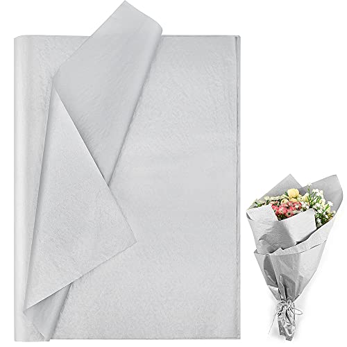 OTMVicor Silbernes Seidenpapier, Kunst- und Bastelpapier für Kinder, metallisches Geschenkpapier, 50 Blatt, 35,6 x 50,8 cm, für Hochzeit, Geburtstag, Jubiläumsfeier, Valentinstag-Dekoration OTMVicor Silbernes Seidenpapier, Kunst- und Bastelpapier für Kinder, metallisches Geschenkpapier, 50 Blatt, 35,6 x 50,8 cm, für Hochzeit, Geburtstag, Jubiläumsfeier, Valentinstag-Dekoration von OTMVicor