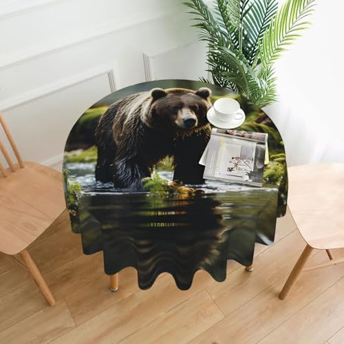 Brown Bear Pounce Tischdecke, rund, flecken- und knitterfrei, für Abendessen, Brunch Picknick, Hochzeit, Party, drinnen und draußen, 152,4 cm von OUInbvv