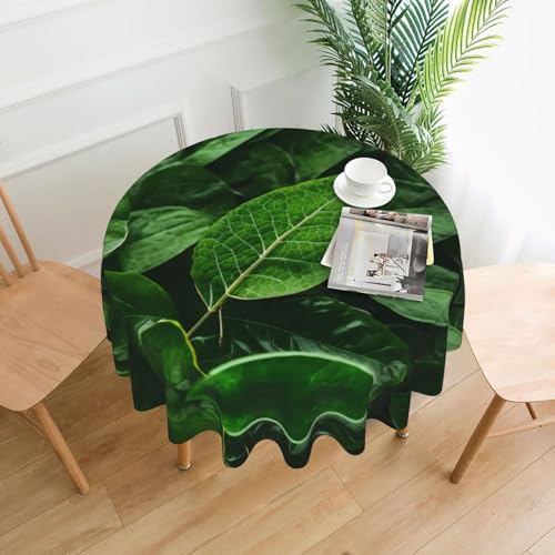 Green Leaf Nature Tischdecke, rund, flecken- und knitterfrei, für Abendessen, Brunch Picknick, Hochzeit, Party, drinnen und draußen, 152,4 cm von OUInbvv