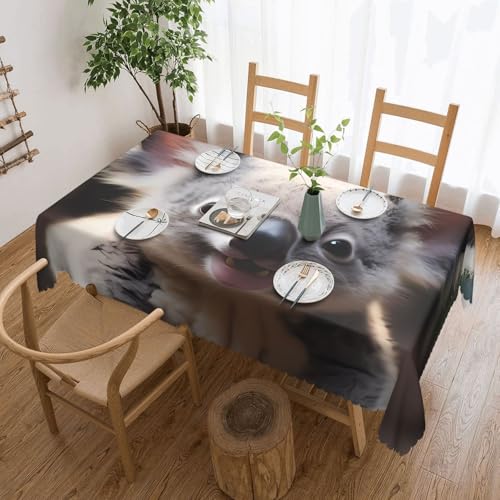 OUInbvv Quadratische Tischdecke mit süßem Koala-Muster, 137 x 183 cm, als Tischschutz und Dekoration, geeignet für Familienfeiern im Freien von OUInbvv