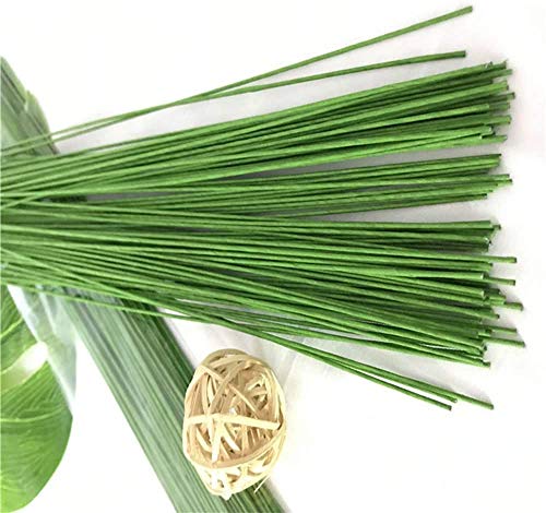 200 Stück Blumendrahtstiele, Blumenstange, Draht, gewickelt 18 Gauge, 35,6 cm, 1,2 mm im Durchmesser, grün 200 Stück Blumendrahtstiele, Blumenstange, Draht, gewickelt 18 Gauge, 35,6 cm, 1,2 mm im Durchmesser, grün von OUKEYI
