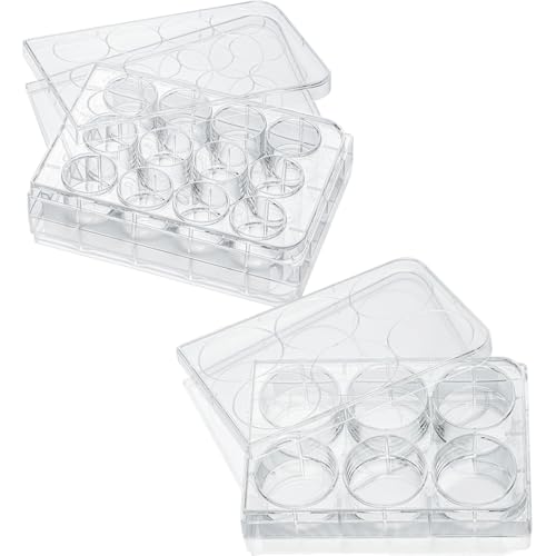OULIGET Kunststoff-Schmuckschatulle, transparent, Aufbewahrungsbox für Ohrringe, Ringe, Armbänder, Halsketten, Kunst, Basteln, Perlen und Kleinteile, 6 Gitter und 12 Fächer OULIGET Kunststoff-Schmuckschatulle, transparent, Aufbewahrungsbox für Ohrringe, Ringe, Armbänder, Halsketten, Kunst, Basteln, Perlen und Kleinteile, 6 Gitter und 12 Fächer von OULIGET
