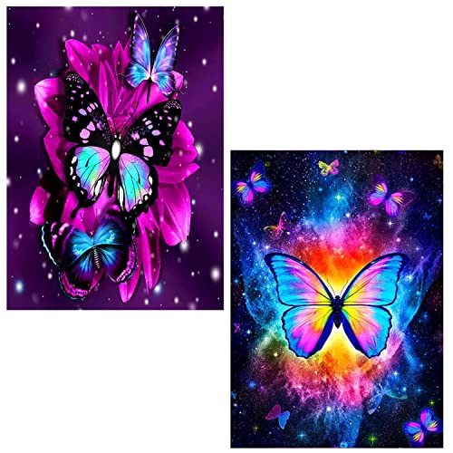 2 Pack 5D Diamond Painting Zubehör Voll Full Set für Kinder Erwachsene Anfänger,Schmetterling Diamant Painting Bilder Stickerei Strass Diamant Malerei Kunsthandwerks Gemälde Wanddekoration, 40CM*30CM) von OUROIRIL