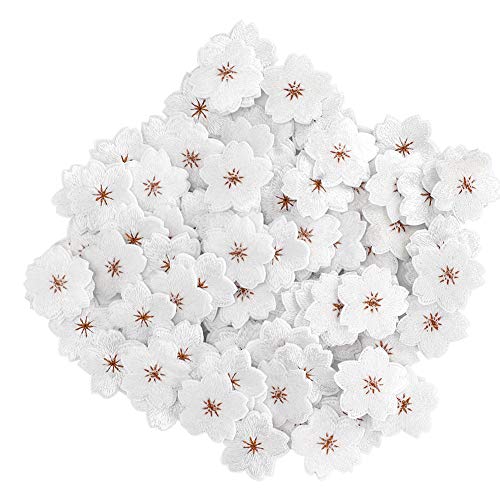 OVAQUIXI Stickstoffstoff Pflaumen Aufkleber Dekorative Eisenflecken für DIY Arts Craft Sewacing Accessoires für Rucksackkleidung OVAQUIXI Stickstoffstoff Pflaumen Aufkleber Dekorative Eisenflecken für DIY Arts Craft Sewacing Accessoires für Rucksackkleidung von OVAQUIXI