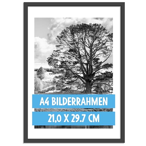 OWLBOOK® Bilderrahmen 20x30 A4 Holzbilderrahmen in Schwarz | Holz Rahmen Fotorahmen | Echtholzrahmen | 1 Stück von OWLBOOK