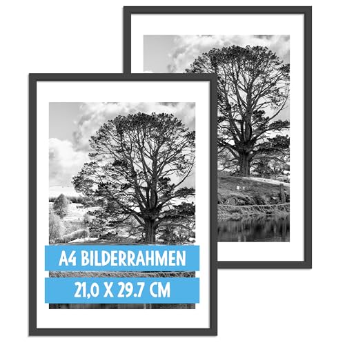 OWLBOOK® Bilderrahmen 20x30 A4 Holzbilderrahmen in Schwarz | Holz Rahmen Fotorahmen | Echtholzrahmen | 2 Stück von OWLBOOK