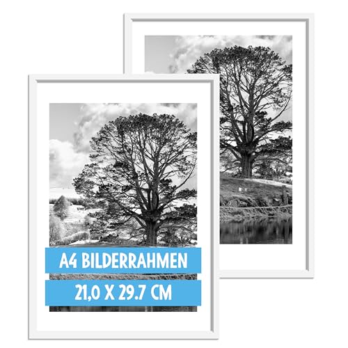 OWLBOOK® Bilderrahmen 20x30 A4 Holzbilderrahmen in Weiß | Holz Rahmen Fotorahmen | Echtholzrahmen | 2 Stück von OWLBOOK