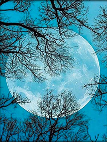 OWN4B Kreuzstich-Set, geprägt, Mond, Nacht, Baum, gedrucktes Muster, 11 CT, 36,1 x 46 cm, DIY-Stickset (Mond) von OWN4B